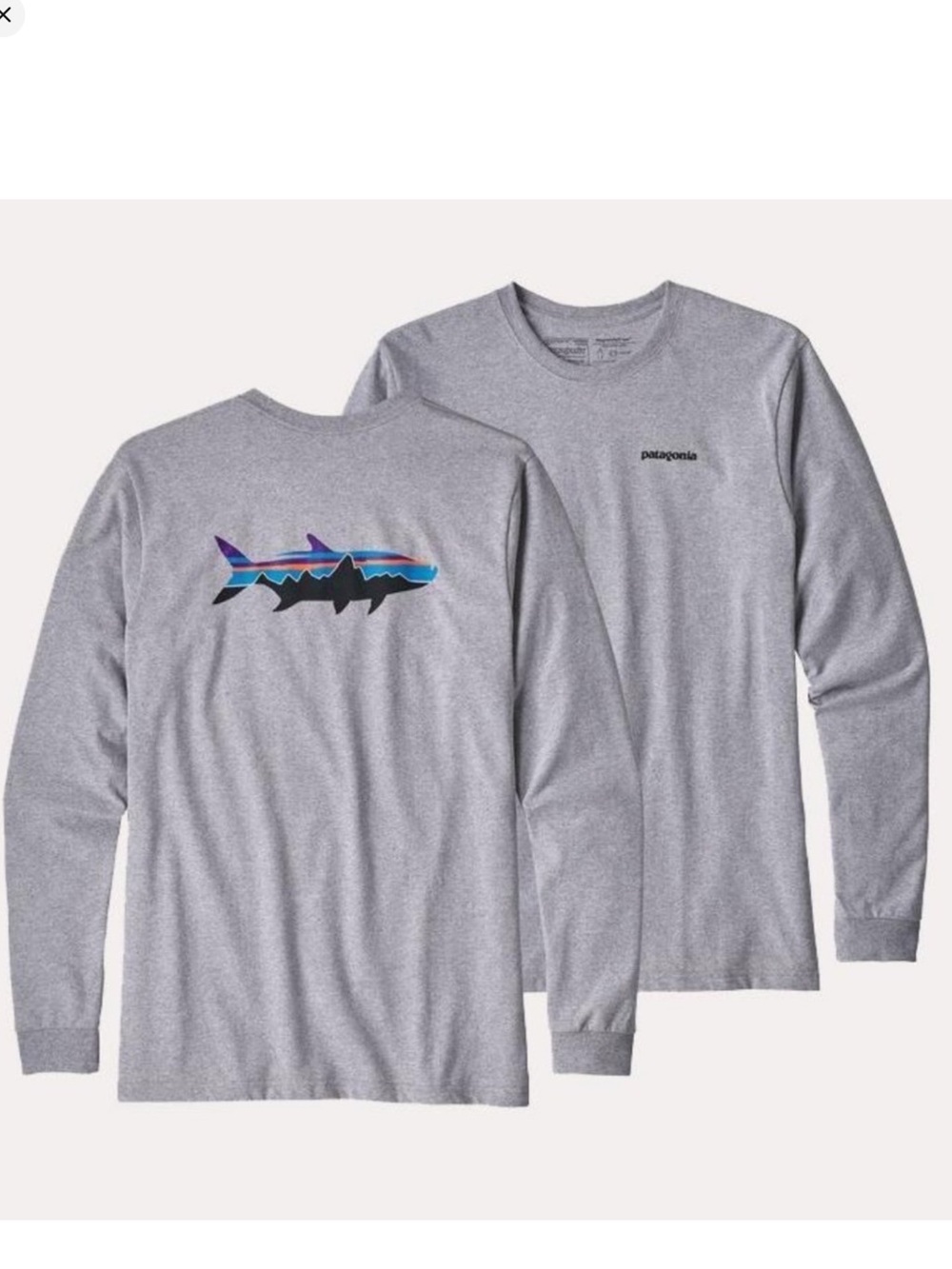 Patagonia Fitz Roy Trout T Shirt